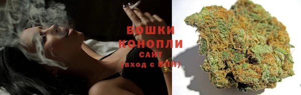 кокс Белокуриха