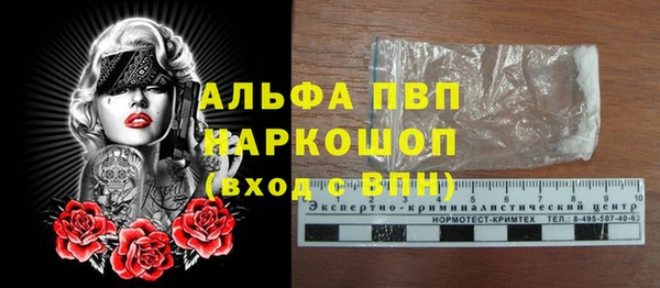 кокс Белокуриха
